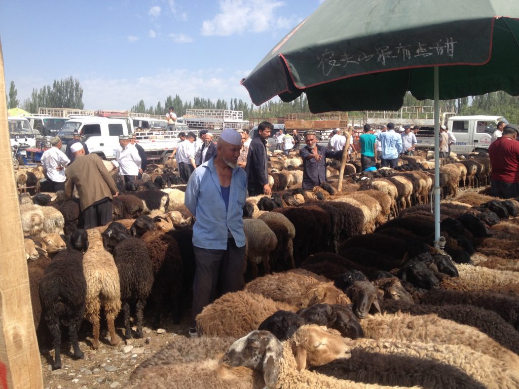 Bekende veemarkt in Kashgar, Xinjiang 